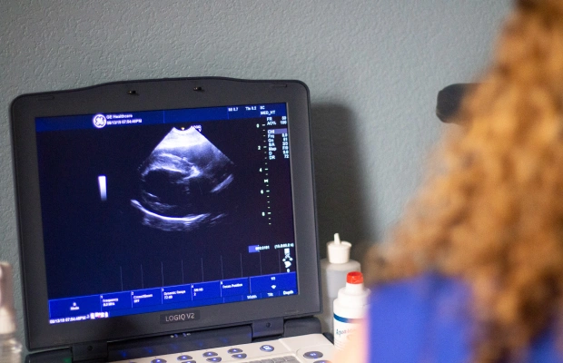 pet diagnostic care in needham heights ma